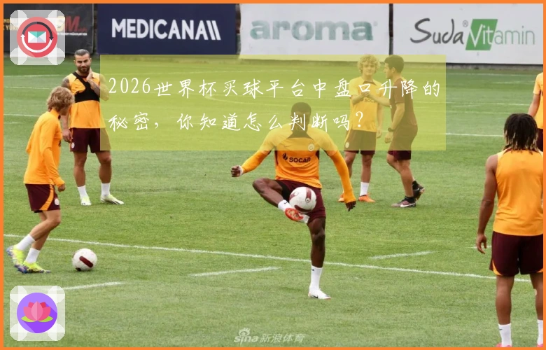 2026世界杯买球平台中盘口升降的秘密，你知道怎么判断吗？