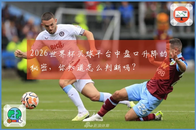 2026世界杯买球平台中盘口升降的秘密，你知道怎么判断吗？
