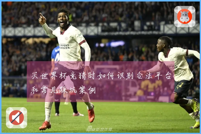 买世界杯竞猜时如何识别合法平台和常见踩坑案例